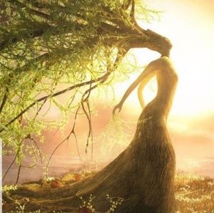 Meet your Posher, Mellissa